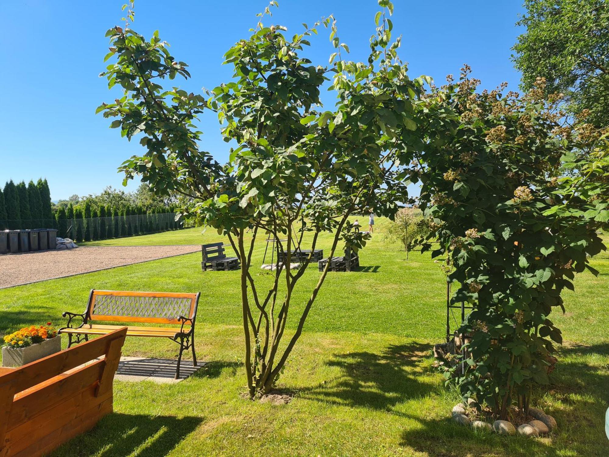 Lawendowy Boutique Resort, Zator, Przeciszow Holiday home